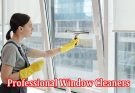 Why Choose Professional Window Cleaners for Your Home or Business