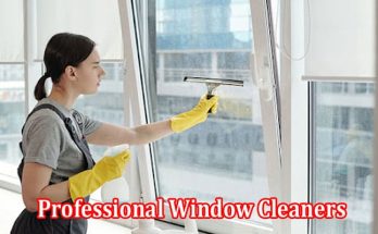 Why Choose Professional Window Cleaners for Your Home or Business