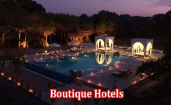 Boutique Hotels Small Spaces, Big Returns – A Guide to Successful Boutique Accommodations