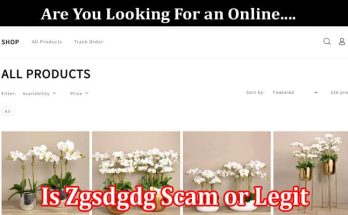 Is Zgsdgdg Scam or Legit Online Website Reviews