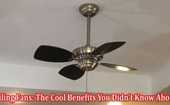Ceiling Fans The Cool Benefits You Didn't Know About