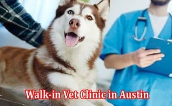 Visit the Best Walk-in Vet Clinic in Austin